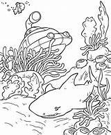 Unterwasserwelt Malvorlagen Underwater Coloring Ausdrucken Kleine Unterwasser Zahlen Schoene Dekoking Einsteins Mycoloring Besuchen Krebs über sketch template