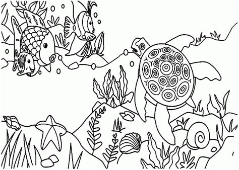 forest coloring pages printable coloring home