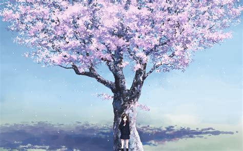 sakura tree wallpaper wallpapersafari