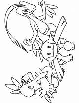 Ausmalbilder Advanced Evoli Sonne Mond Pikachu Weiterentwicklung Grovyle Kolorowanki Pokémon Genial Coloriages Picgifs Farbe Avancee Malvorlagen Kolorowanka Neu Dynamax Dzieci sketch template