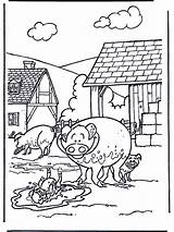 Schweine Bauernhoftiere Cochons Jetztmalen Maiali Ferme Varkens Kuh Cerdo Ausmalen Pubblicità Boerderijdieren Advertentie Anzeige Publicité sketch template