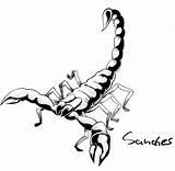 Scorpion Drawing Tattoo Draw Cartoon Drawings Designs Line Scorpions Deviantart Colouring Clip Coloring Clipartmag Tatoo Stats Downloads Pages sketch template