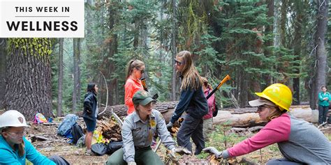 Girl Scouts Add New Badges For Stem And Outdoor Activities