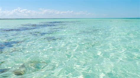 rising  reveal beautiful tropical caribbean shallow ocean water stock
