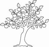 Coloring Pages Elm Tree Getcolorings Trees sketch template