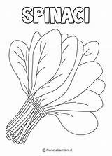 Verdure Stampare Spinaci Disegno Orto Frutta Pianetabambini Vegetali Insalata Scrivi sketch template