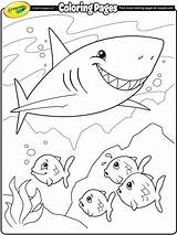 Coloring Shark Mako Getcolorings Pages sketch template