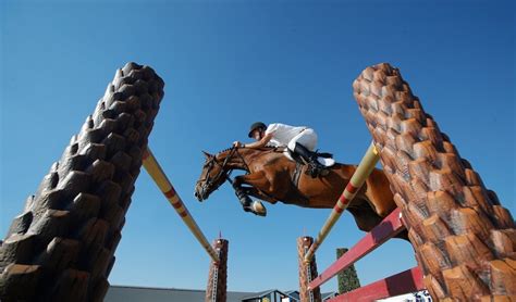 flexibele startpas voor de springsport het onafhankelijke paardensportmedium