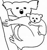 Koala Coloring Pages Koalas Color Animal Baby Kids Printable Sheet Drawing Animals Clipart Bear Print Panda Wombat Clipartbest Getdrawings Back sketch template