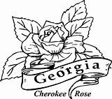 Pages Coloring Rose Cherokee Georgia State Printable Drawing Flowers Clipart Flower Color Kids Bluebonnet Draw Library Bulldog Bulldogs Clip Comments sketch template