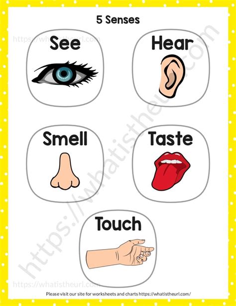 senses chart printable   home teacher