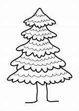 Pine Tree Clip Coloring Drawing Trees Pages Clipart Pencil Cliparts Getdrawings Template Silhouette Draw Step Sketch Shadow Drawn sketch template