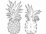 Pineapple Ananas Nanas Buah Mewarnai Abacaxi Coloriage Pineapples Cortado Colorir Ausmalbilder Kartun Supercoloring Frutta Tudodesenhos Marimewarnai Querschnitt Entier Pinapple Ausmalbild sketch template