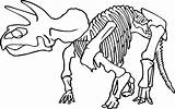 Coloring Skeleton Pages Dinosaur Bones Drawing Rex Printable Head Pirate Animal Bryant Kobe Skull Clipart Triceratops Getcolorings Getdrawings Outline Triceratop sketch template