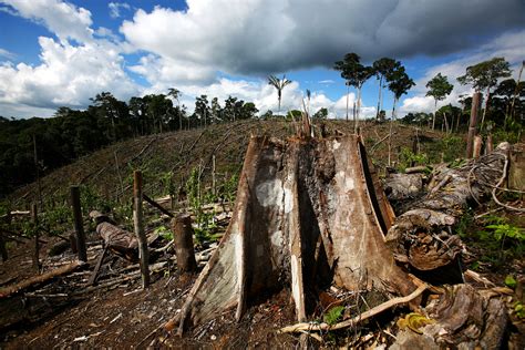 deforestation  brazil affects rainfall desertification