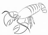 Crayfish Coloringpagez sketch template