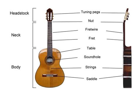 parts   acoustic guitar       diagram