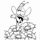 Bee Willy Maya Coloring Pages Xcolorings 500px 43k Resolution Info Type  Size sketch template