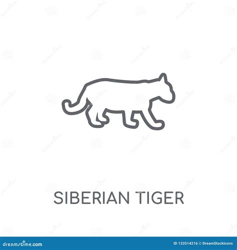 siberian tiger linear icon modern outline siberian tiger logo  stock