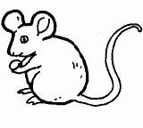 Coloring Rat Pages Popular Baby sketch template