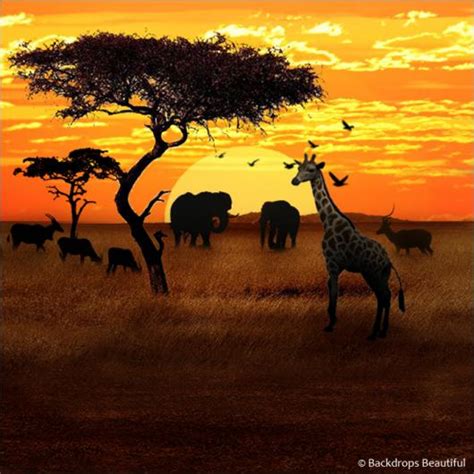 search  compare african savannah  rental  united states rental