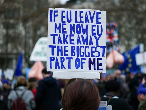 brexit march london   banners  protesters  creative  slogans mirror