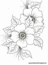 Bougainvillea Coloringareas sketch template