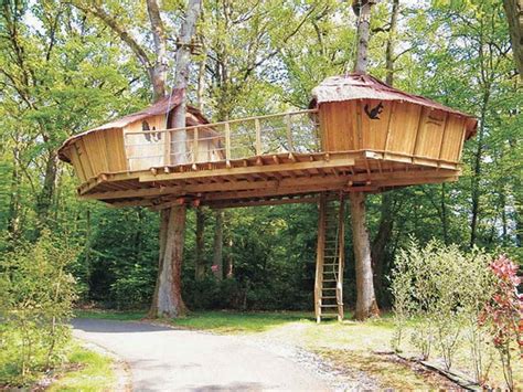 stunning livable tree house plans  home plans design