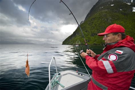 man catching fish stock photo image  outdoor boat