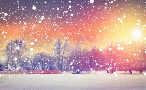 Winter Snowfall At Morning Colorful Sunrise Christmas Background