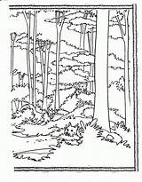 Forest Coloring Pages Habitat Printable Animal Trees Drawing Tall Book Sheets Deciduous Books Clipart Print Tree Adult Habitats Jungle Landscape sketch template