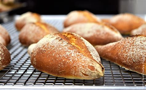 The Different Type Of French Bread Evercook