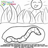 Coloring Printable Pages Worms Earthworms Nature Gifts Butterfly sketch template