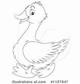Goose Clipart Illustration Gosling Goslings Clip Royalty Clipground Bannykh Alex Cliparts sketch template