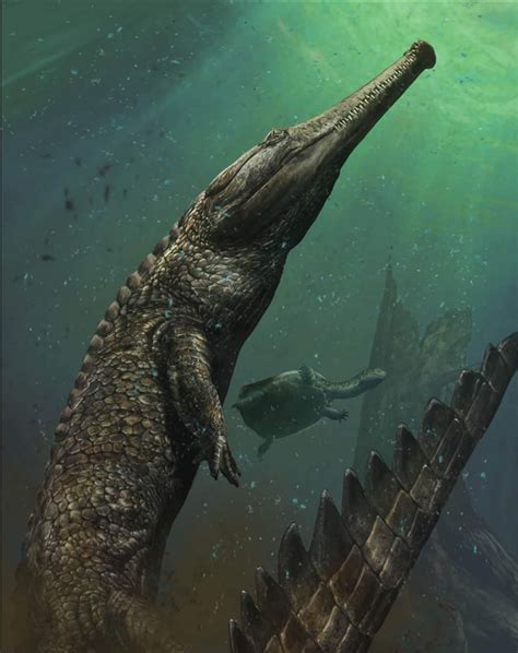 worlds largest sea dwelling crocodile previously unknown