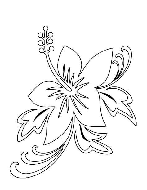 rainforest flowers coloring pages  getcoloringscom  printable