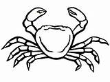 Crabe Cangrejo Crab Imprimer Coloriages Cangrejos Animales Animaux Enfant Oceano Primaire Divierten Juegan Aprenden Albumdecoloriages sketch template