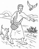 Coloring Parable Sower Farmer Pages Seed Seeds Kids Bible Sunday School Among Thorns Scattered Colouring Thorn Color Jesus Crafts Farmers sketch template