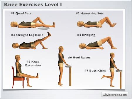 knee exercises illustrated therapeutic strengthening exercises