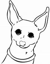 Chihuahua Coloring Pages Dog Print Cute Chihuahuas Color Lab Kids Line Drawing Puppy Dogs Printable Puppies Getdrawings Colouring Curious Sheets sketch template