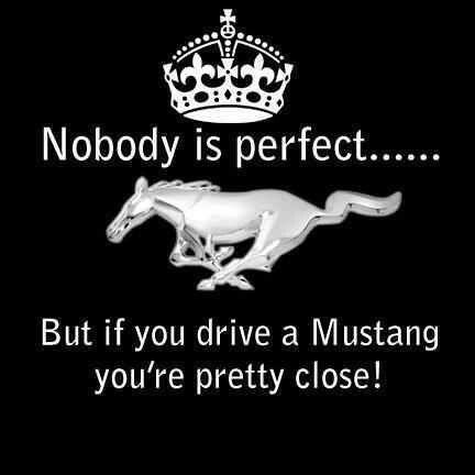 quotes   ford mustang quotesgram