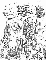 Coloring Ocean Pages Printable Color Fish Animal Summer Colouring Kids Printables Coral Drawing Museprintables Reef Animals Sheets Print Adult Cute sketch template