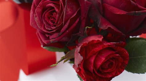 why i m selling 1 000 red roses for valentine s day for