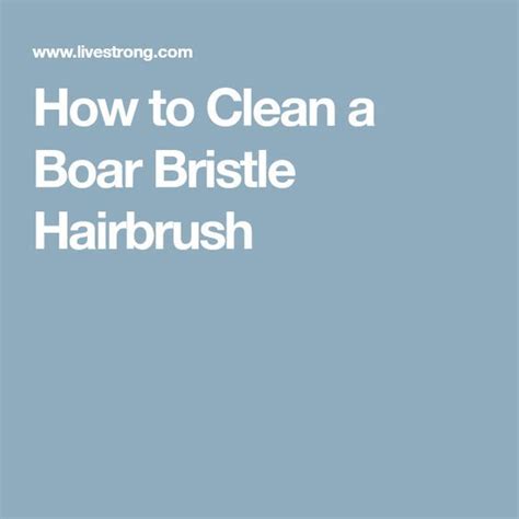 clean  boar bristle hairbrush boar bristle hair brush boar