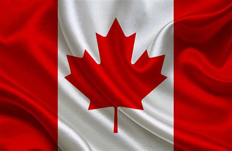 royalty  canadian flag pictures images  stock  istock