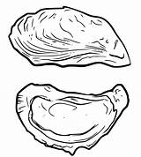 Oyster Coloringonly sketch template