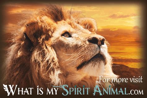 powerful breakthrough spirit animal experiences spirit