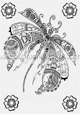 Coloring Adult Pages Henna Dragonfly sketch template