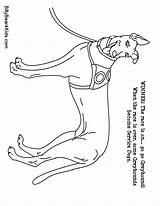 Coloring Great Pages Dane Dog Template Shepherd Library German sketch template