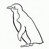 Penguin Coloring Penguins Pages Printable Baby Colouring Cartoon Simple Clipart Cliparts Animals Rockhopper Print Kids Printables Cute Winter Drawings Animal sketch template